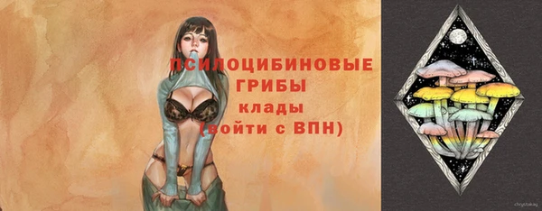 бошки Вязьма