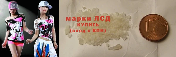 эйфоретик Вяземский