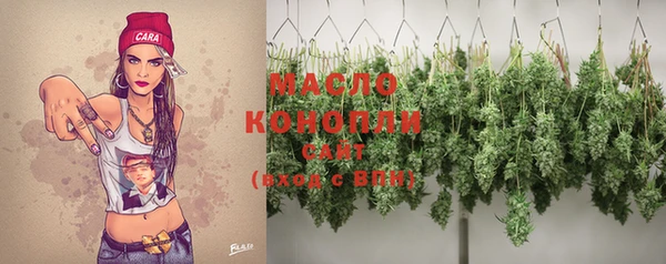 эйфоретик Вяземский