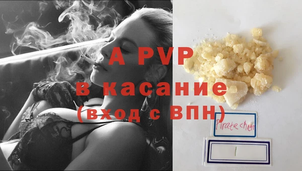 эйфоретик Вяземский