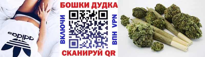 купить наркоту  Гаврилов Посад  Бошки марихуана индика 